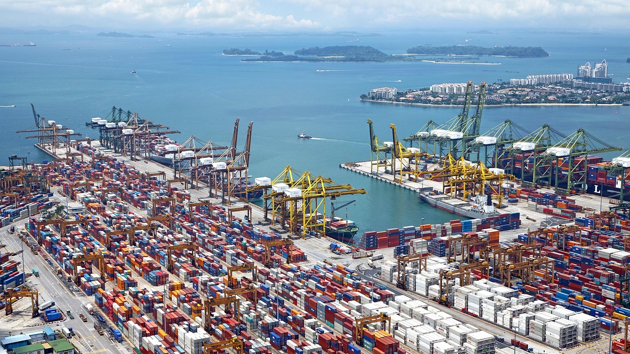 Clearing and Forwarding